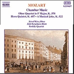 Mozart Wolfgang Amadeus - Chamber Music i gruppen CD / Klassiskt hos Bengans Skivbutik AB (638106)