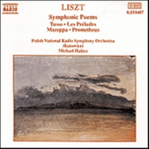 Liszt Franz - Symphonic Poems i gruppen VI TIPSAR / Lagerrea / CD REA / CD Klassisk hos Bengans Skivbutik AB (638232)