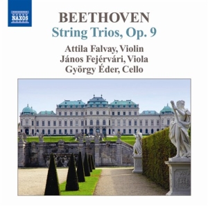 Beethoven - String Trios i gruppen Externt_Lager / Naxoslager hos Bengans Skivbutik AB (639464)