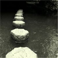 Phelan Sheppard - Harps Old Master i gruppen CD / Pop-Rock hos Bengans Skivbutik AB (639873)