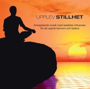 Pier Federici Alexandre - Upplev: Stillhet i gruppen ÖVRIGT / cdonuppdat / CDON Jazz klassiskt NX hos Bengans Skivbutik AB (640833)