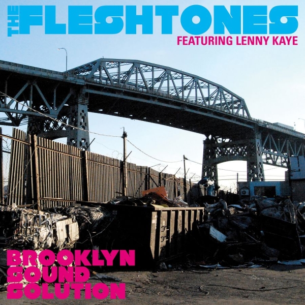 Fleshtones The - Brooklyn Sound Solution i gruppen CD / Toppsäljare hos Bengans Skivbutik AB (641088)