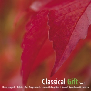 Various Artists - Classical Gift Vol 1 i gruppen ÖVRIGT / cdonuppdat / CDON Jazz klassiskt NX hos Bengans Skivbutik AB (645444)