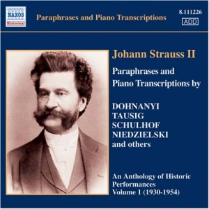 Various - Johann Strauss Ii Piano Transcripti i gruppen Externt_Lager / Naxoslager hos Bengans Skivbutik AB (646371)
