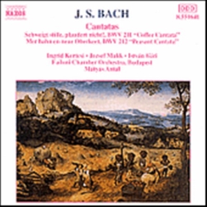 Bach Johann Sebastian - Cantatas i gruppen Externt_Lager / Naxoslager hos Bengans Skivbutik AB (647971)
