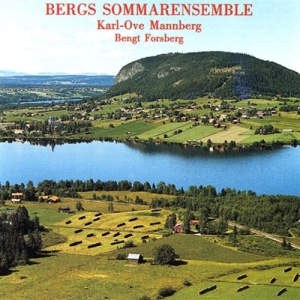 Schnittke Finzi - Bergs Summer Ensamble i gruppen Externt_Lager / Naxoslager hos Bengans Skivbutik AB (651157)