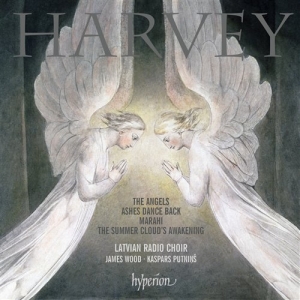 Harvey - The Angels i gruppen Externt_Lager / Naxoslager hos Bengans Skivbutik AB (651446)