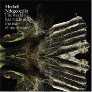 Meshell Ndegeocello - World Has Made Me The Man Of My i gruppen CD / Jazz/Blues hos Bengans Skivbutik AB (652158)