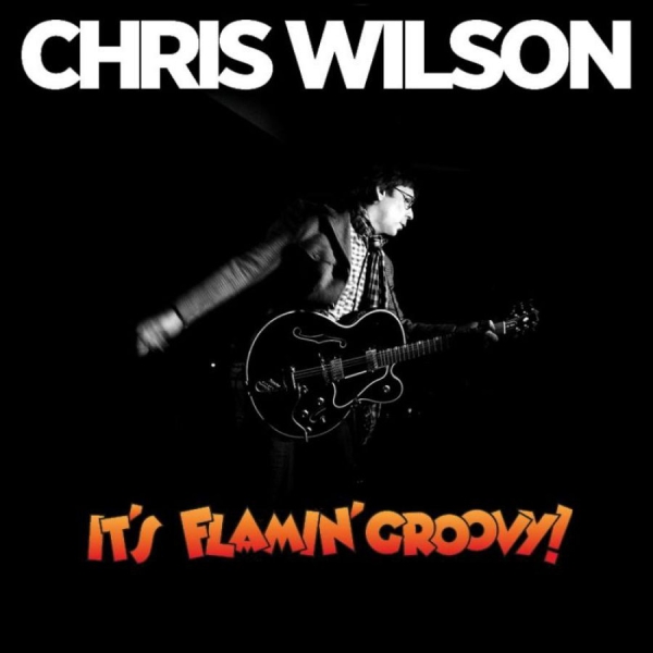 Wilson Chris - It's Flamin' Groovy i gruppen CD / Rock hos Bengans Skivbutik AB (652888)
