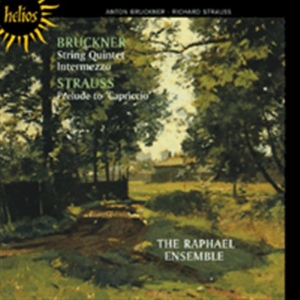 Bruckner - String Quartet i gruppen Externt_Lager / Naxoslager hos Bengans Skivbutik AB (654067)