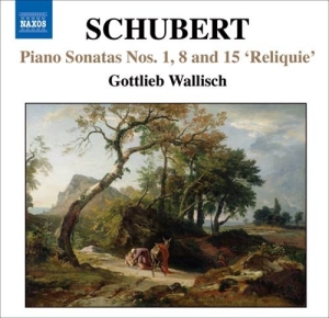 Schubert - Unfinished Sonatas i gruppen Externt_Lager / Naxoslager hos Bengans Skivbutik AB (656599)