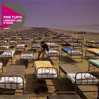 PINK FLOYD - A MOMENTARY LAPSE OF REASON i gruppen CD / Pop-Rock hos Bengans Skivbutik AB (657070)
