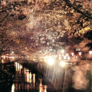 Blandade Artister - Enjoy The Silence Vol. 2 i gruppen CD / Pop hos Bengans Skivbutik AB (657273)