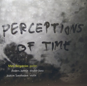 Bergström Mats - Perceptions Of Time i gruppen Externt_Lager / Naxoslager hos Bengans Skivbutik AB (661121)