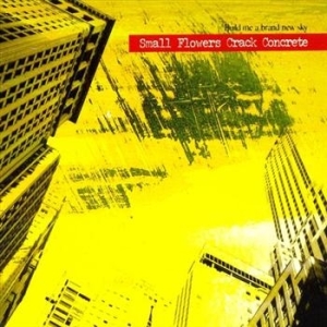 Small Flowers Crack Concrete - Build Me A Brand New Sky i gruppen CD / Pop-Rock hos Bengans Skivbutik AB (661481)