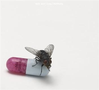 Red Hot Chili Peppers - I'm With You i gruppen CD / Pop-Rock hos Bengans Skivbutik AB (662005)