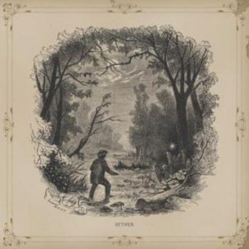 Vetiver - Vetiver i gruppen CD / Toppsäljare hos Bengans Skivbutik AB (664192)