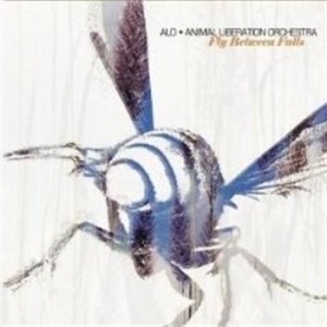 Alo - Fly Between Falls i gruppen CD / Pop-Rock hos Bengans Skivbutik AB (675922)