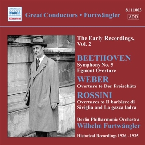 Beethoven - Symphony No 5 i gruppen Externt_Lager / Naxoslager hos Bengans Skivbutik AB (676963)