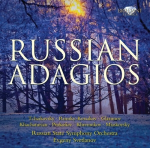 Various Composers - Russian Adagios i gruppen Externt_Lager / Naxoslager hos Bengans Skivbutik AB (684951)