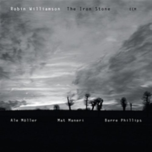 Williamson Robin - The Iron Stone i gruppen CD / Pop-Rock hos Bengans Skivbutik AB (685237)