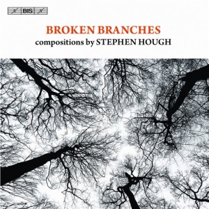 Stephen Hough - Broken Branches i gruppen Externt_Lager / Naxoslager hos Bengans Skivbutik AB (691656)