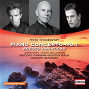 Tchaikovsky - Piano Concerto i gruppen Externt_Lager / Naxoslager hos Bengans Skivbutik AB (691675)