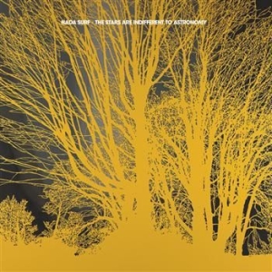 Nada Surf - The Stars Are Indifferent To Astron i gruppen CD / Rock hos Bengans Skivbutik AB (694509)
