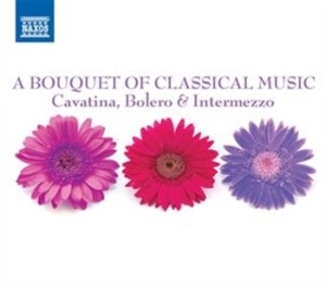 Various/ Cavatina Bolero & Interme - A Bouquet Of Classical Music i gruppen CD / Övrigt hos Bengans Skivbutik AB (695275)