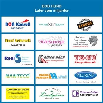 Bob Hund - Låter Som Miljarder i gruppen CD / Toppsäljare hos Bengans Skivbutik AB (697751)