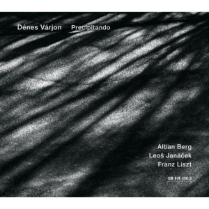 Berg / Janacek / Liszt - Precipitando i gruppen Externt_Lager / Naxoslager hos Bengans Skivbutik AB (699147)