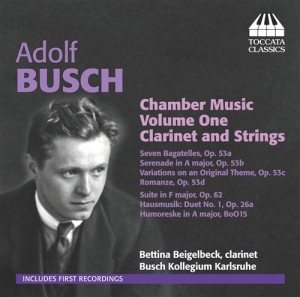 Busch - Chamber Music i gruppen Externt_Lager / Naxoslager hos Bengans Skivbutik AB (706883)