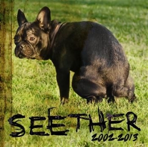 Seether - Seether: 2002 - 2013 i gruppen CD / Pop-Rock hos Bengans Skivbutik AB (706908)