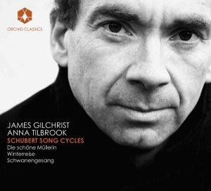 James Gilchrist - Song Cycles i gruppen Externt_Lager / Naxoslager hos Bengans Skivbutik AB (708654)