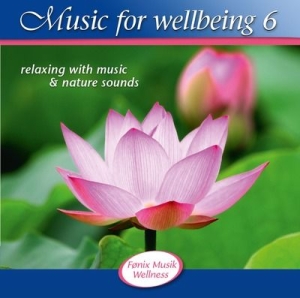 Blandade Artister - Music For Wellbeing Vol.6 i gruppen CD / Elektroniskt hos Bengans Skivbutik AB (716102)