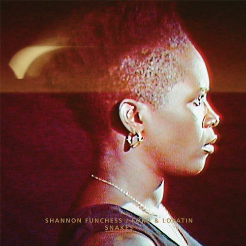 Ford And Lopatim  Shannon Func - Snakes  Flying Dream i gruppen VINYL / Pop hos Bengans Skivbutik AB (780671)