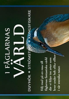 Film - I Fåglarnas Värld i gruppen ÖVRIGT / Musik-DVD & Bluray hos Bengans Skivbutik AB (820046)