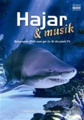 Blandade Artister - Hajar & Musik i gruppen ÖVRIGT / cdonuppdat / CDON Jazz klassiskt NX hos Bengans Skivbutik AB (887023)