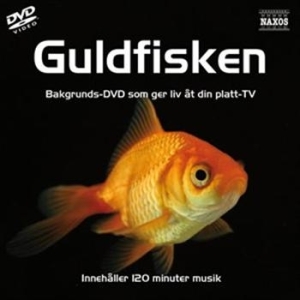 Skärmsläckar Dvd - Guldfiskar i gruppen ÖVRIGT / cdonuppdat / CDON Jazz klassiskt NX hos Bengans Skivbutik AB (888653)