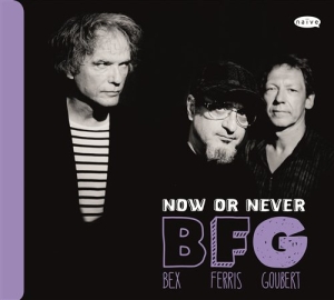 Bex / Ferris / Goubert - Now Or Never i gruppen CD / Jazz hos Bengans Skivbutik AB (945604)