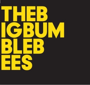 Big Bumble Bees The - The Big Bumble Bees i gruppen CD / Pop-Rock,Svensk Folkmusik hos Bengans Skivbutik AB (946714)