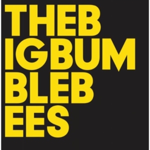 Big Bumble Bees The - The Big Bumble Bees i gruppen CD / Pop-Rock,Svensk Folkmusik hos Bengans Skivbutik AB (946714)