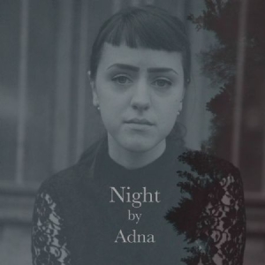 Adna - Night i gruppen CD / Pop-Rock,Svensk Musik hos Bengans Skivbutik AB (947770)