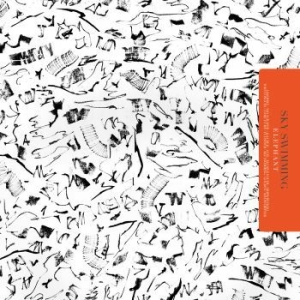 Elephant - Sky Swimming i gruppen CD / Pop-Rock hos Bengans Skivbutik AB (949482)