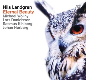 Nils Landgrenmichael Wollny Johan - Eternal Beauty i gruppen ÖVRIGT / cdonuppdat / CDON Jazz klassiskt NX hos Bengans Skivbutik AB (950732)