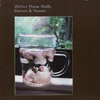 Damon And Naomi - Within These Walls i gruppen CD / Toppsäljare hos Bengans Skivbutik AB (956272)