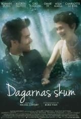 Dagarnas skum i gruppen ÖVRIGT / Film DVD hos Bengans Skivbutik AB (986600)
