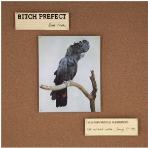 Bitch Prefect - Bird Nerds i gruppen VINYL / Pop hos Bengans Skivbutik AB (992811)