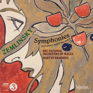 Zemlinsky - Symphonies i gruppen Externt_Lager / Naxoslager hos Bengans Skivbutik AB (997055)
