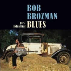 Brozman Bob - Post-Industrial Blues